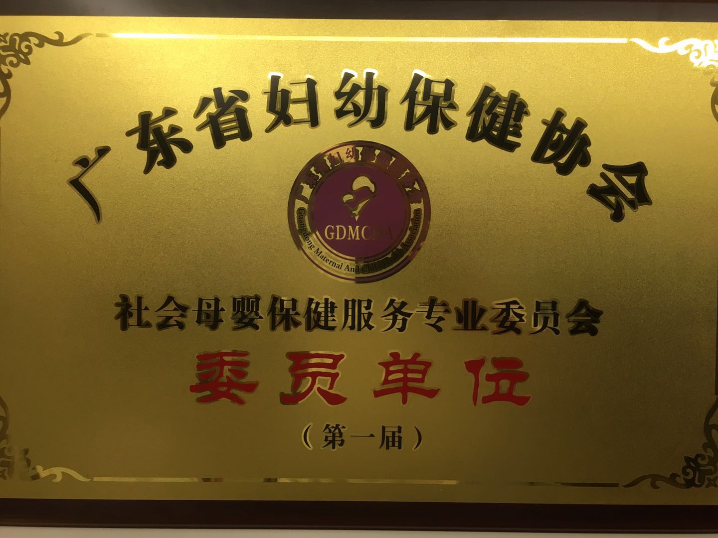 广东省妇幼保健协会